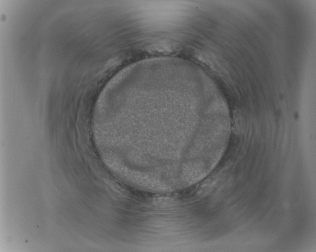 X0000071771297200607282203