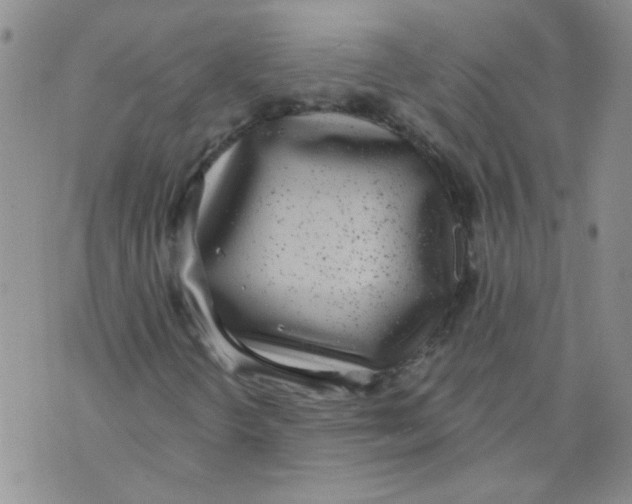 X0000071771298200607282203