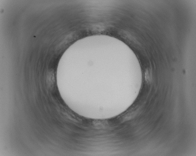 X0000071771299200607282203