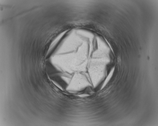 X0000071771300200607282203