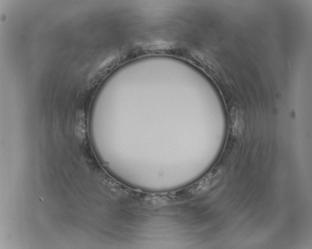 X0000071771301200607282203