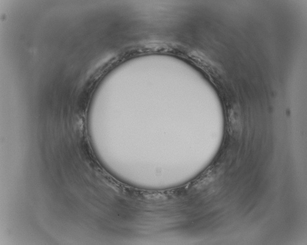 X0000071771302200607282203