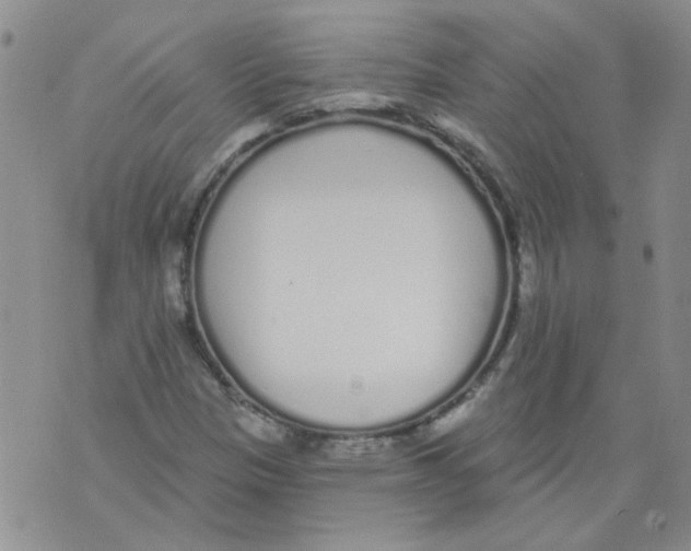 X0000071771305200607282203