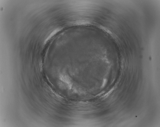 X0000071771306200607282203