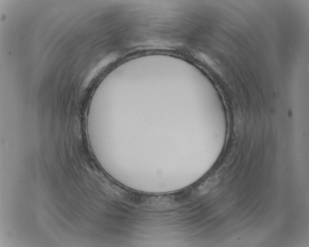 X0000071771307200607282203