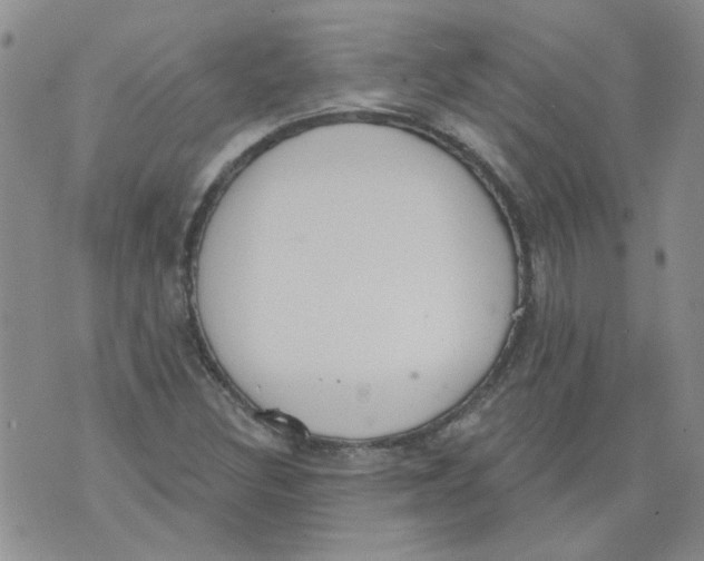 X0000071771308200607282203