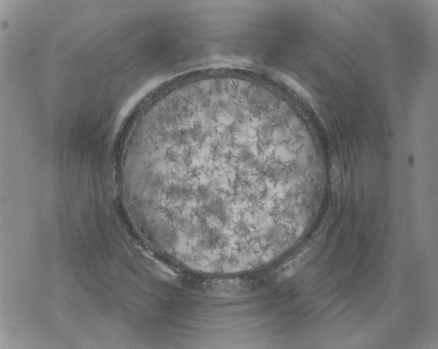 X0000071771310200607282203