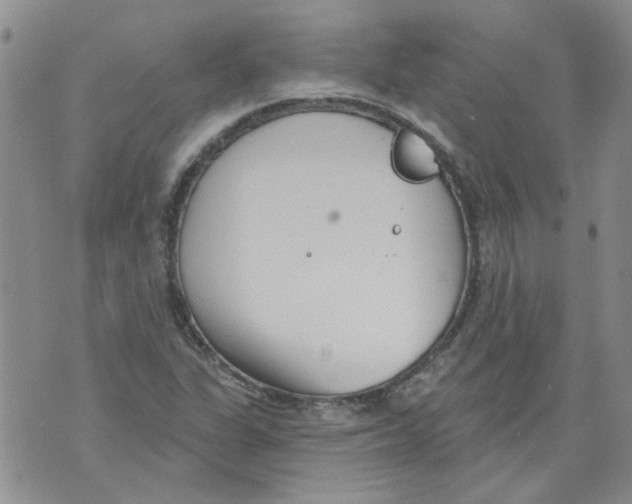 X0000071771311200607282203