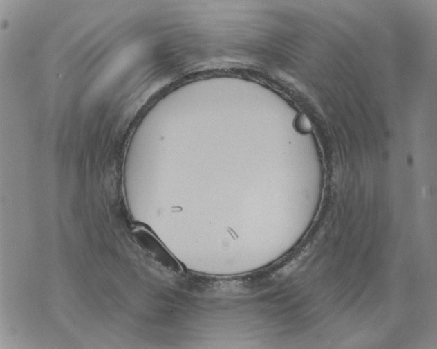 X0000071771313200607282203