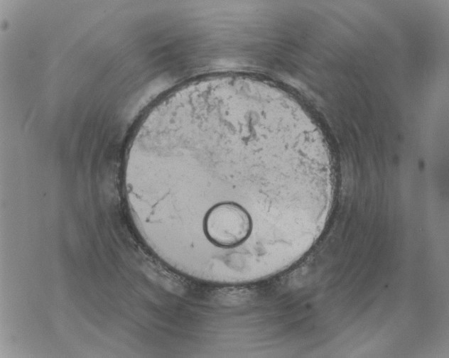 X0000071771314200607282203