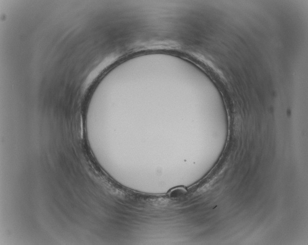 X0000071771317200607282203