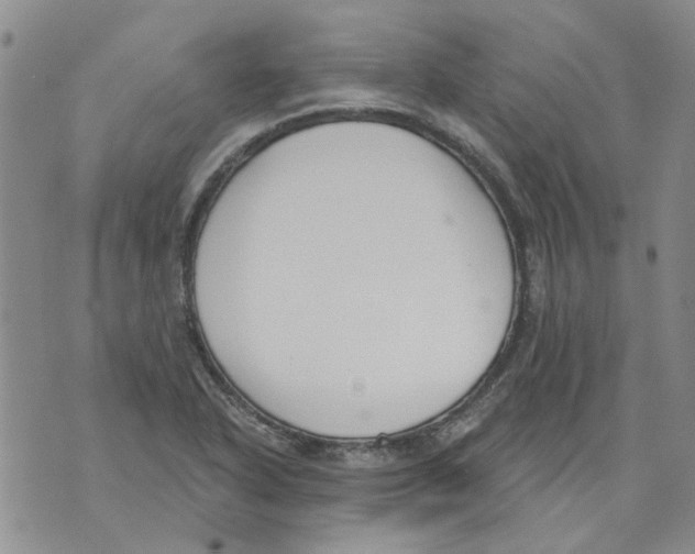 X0000071771318200607282203