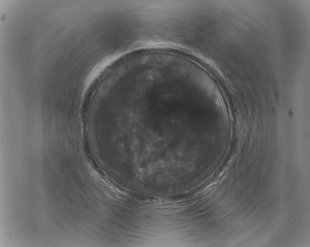 X0000071771319200607282203