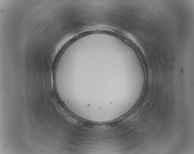 X0000071771320200607282203