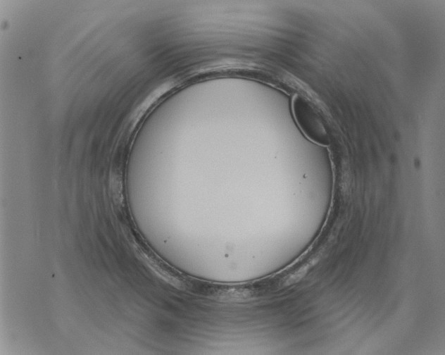 X0000071771321200607282203