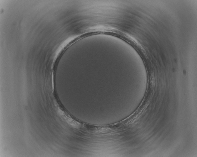 X0000071771323200607282203