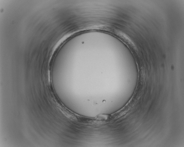 X0000071771324200607282203