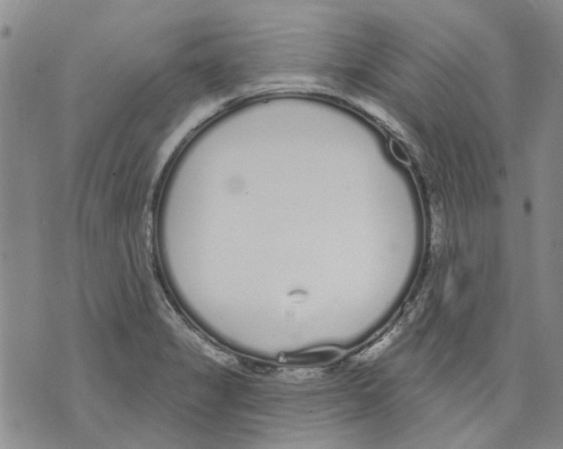 X0000071771325200607282203