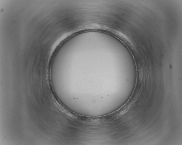 X0000071771326200607282203