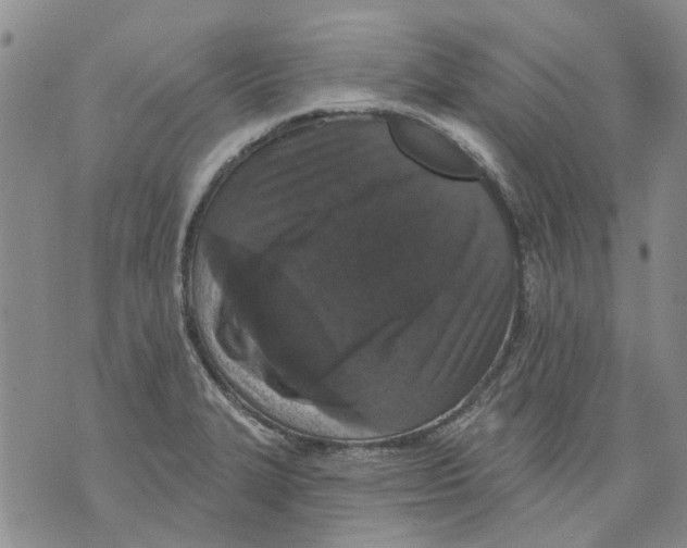 X0000071771327200607282203