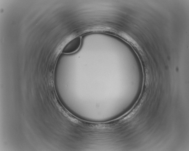 X0000071771329200607282203