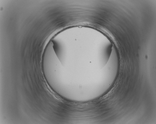 X0000071771332200607282203