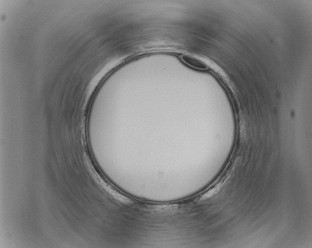 X0000071771333200607282203