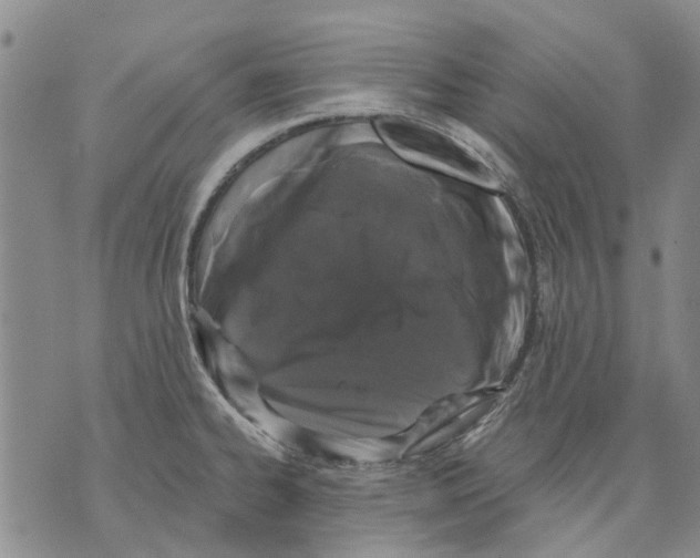 X0000071771334200607282203