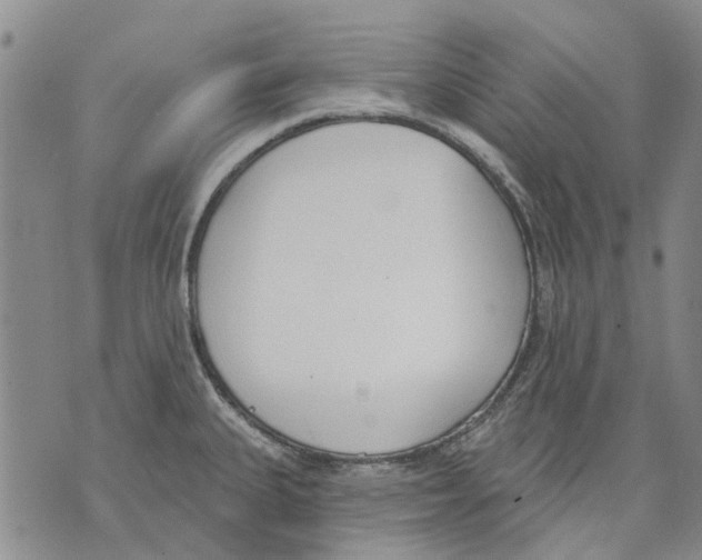 X0000071771335200607282203