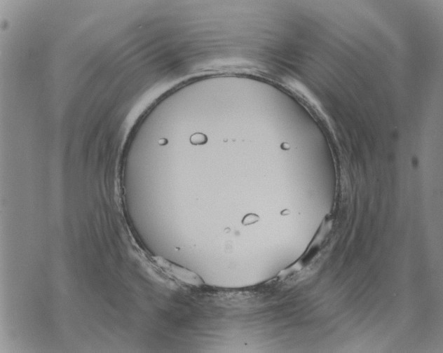 X0000071771336200607282203