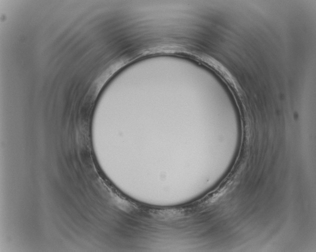 X0000071771337200607282203