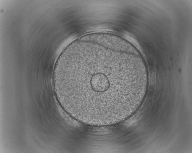 X0000071771338200607282203