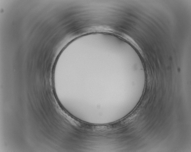 X0000071771339200607282203