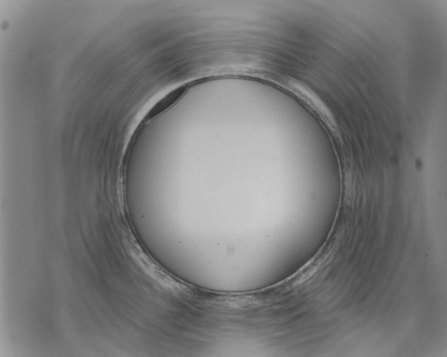 X0000071771340200607282204