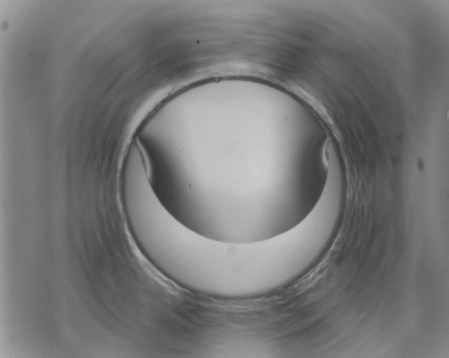 X0000071771342200607282204