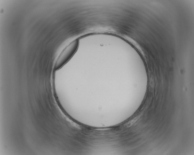 X0000071771343200607282204