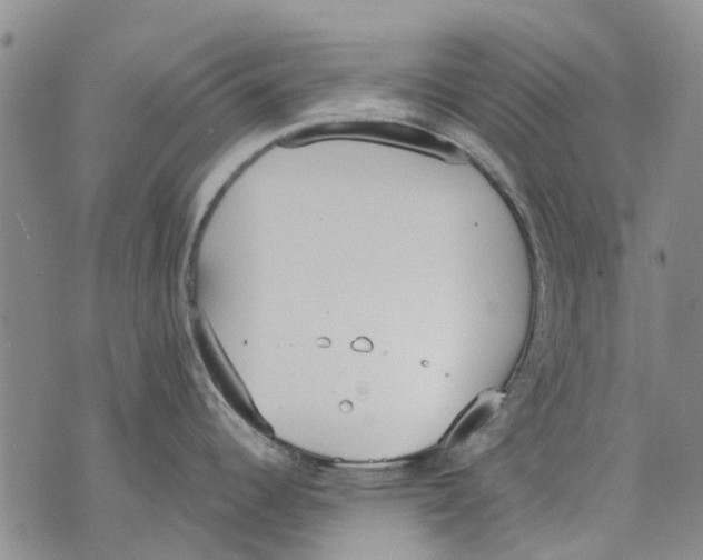 X0000071771344200607282204