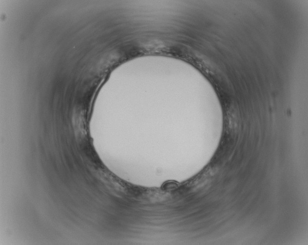 X0000071771346200607282203