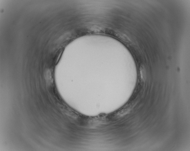 X0000071771347200607282203