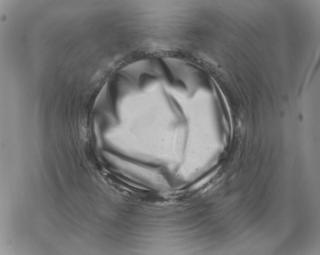 X0000071771348200607282203