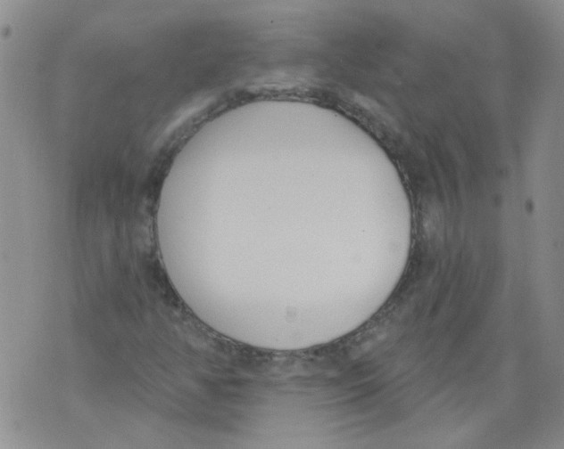 X0000071771350200607282203