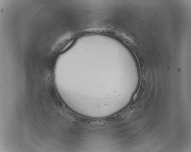 X0000071771351200607282203