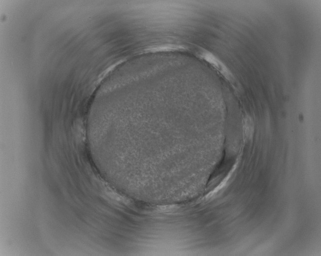 X0000071771353200607282203