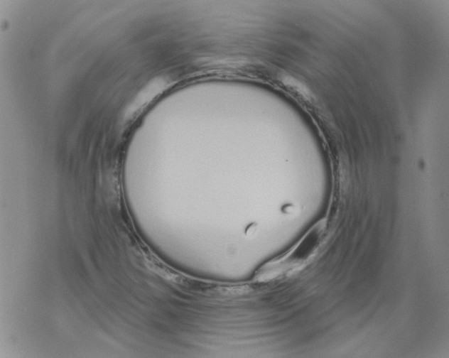 X0000071771354200607282203