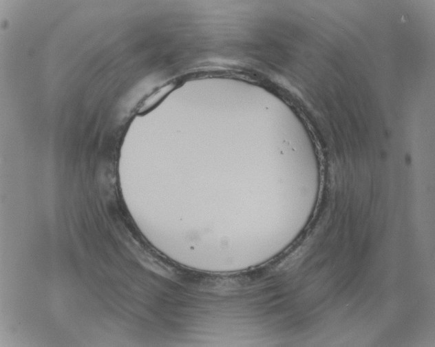 X0000071771355200607282203