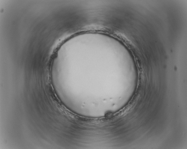 X0000071771358200607282203