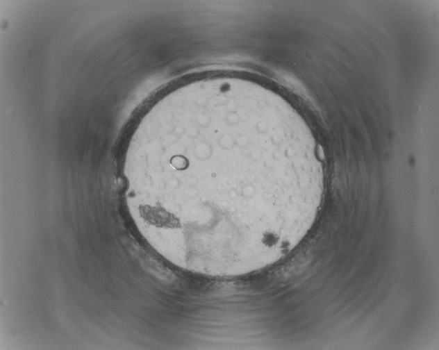 X0000071771360200607282203