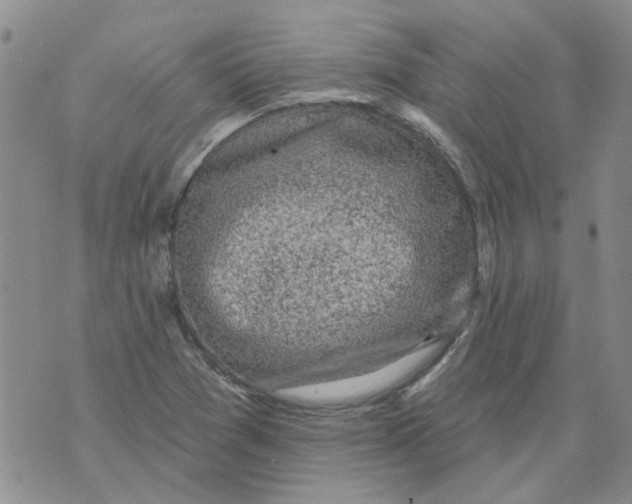 X0000071771361200607282203