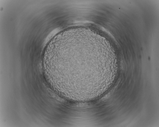 X0000071771362200607282203