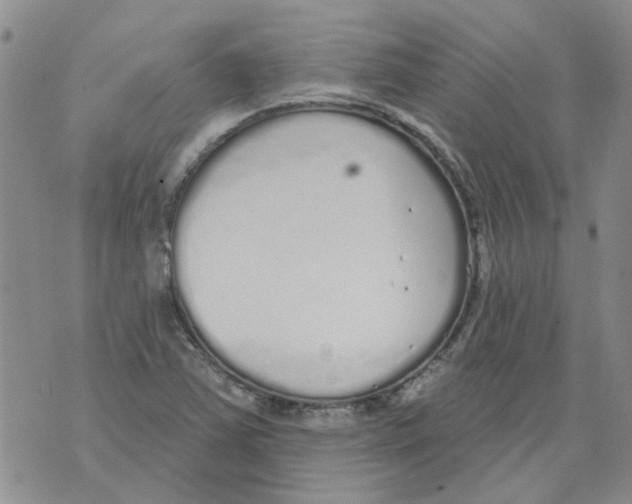 X0000071771363200607282203